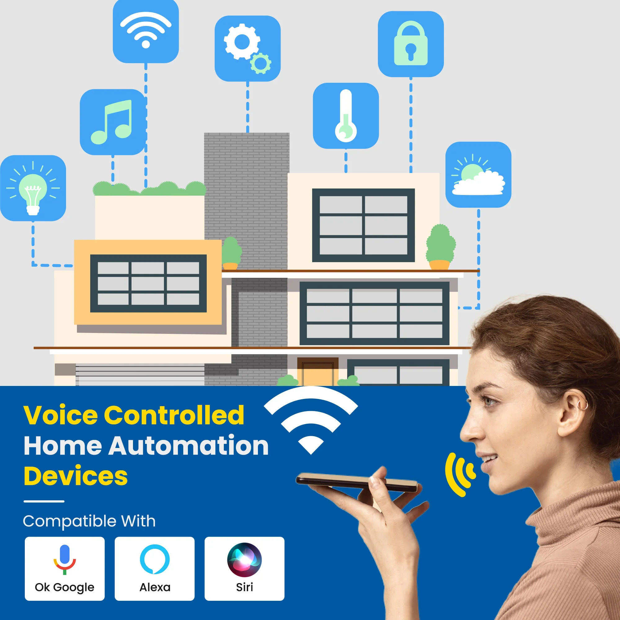 voice & app control​